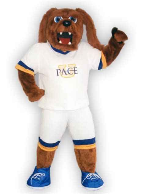 The Art of Mascoting: Skills and Techniques of the Pace University Mascot